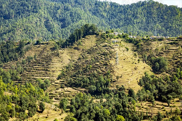 Top view of Ladholi village in the indian state of Uttarakhand