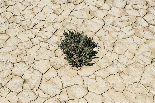 Dried-up lake