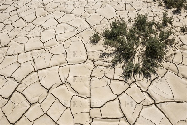 Dried-up lake