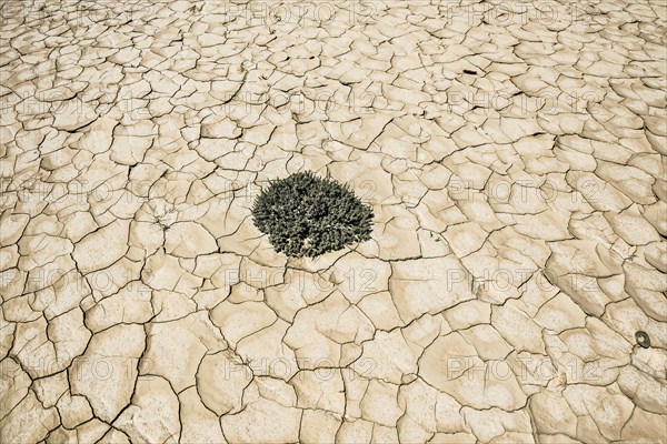 Dried-up lake