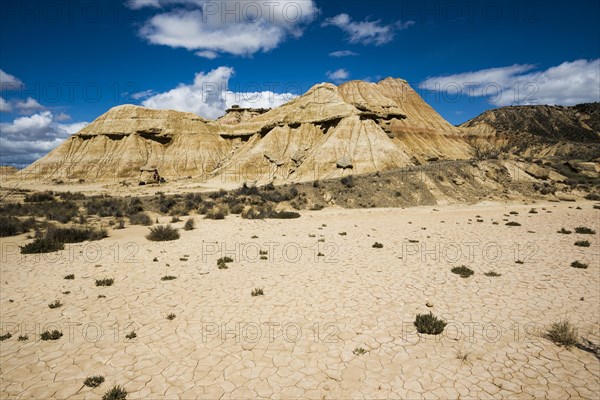 Semi-desert