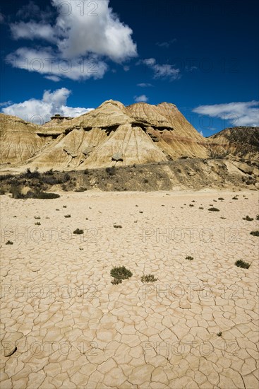 Semi-desert