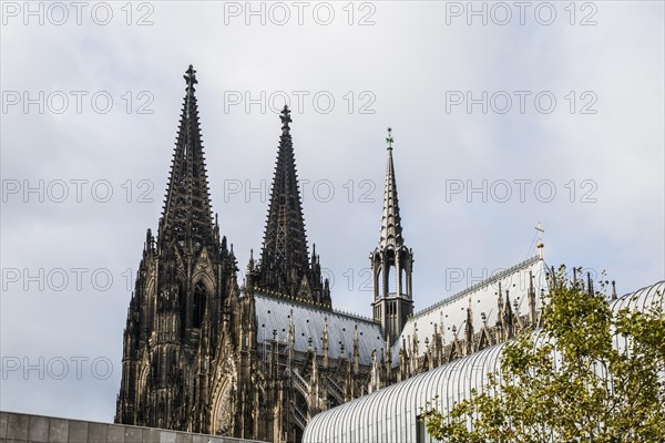 Cologne Cathedral