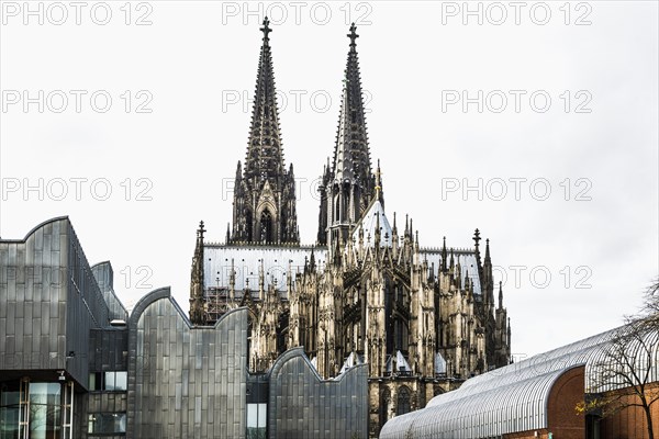 Cologne Cathedral