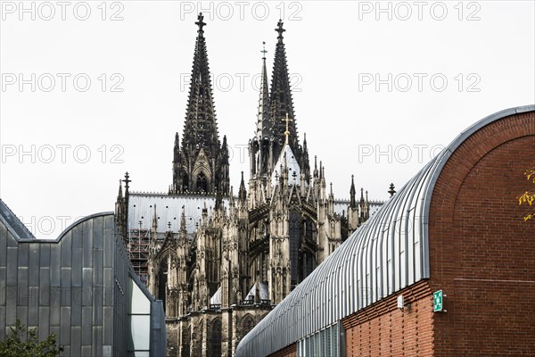 Cologne Cathedral