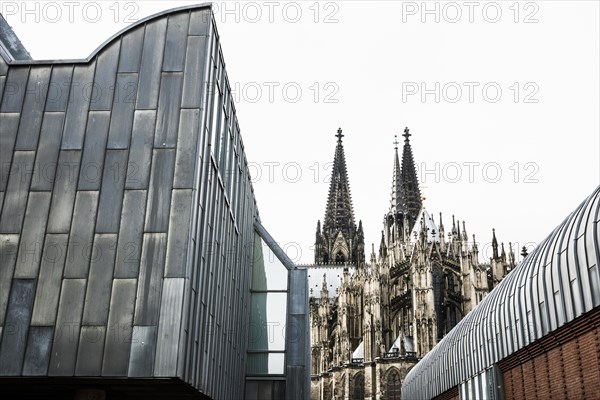 Cologne Cathedral