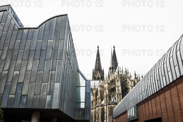 Cologne Cathedral