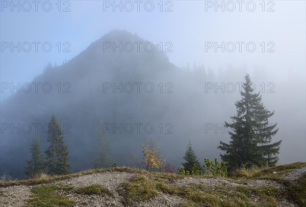 Schildenstein