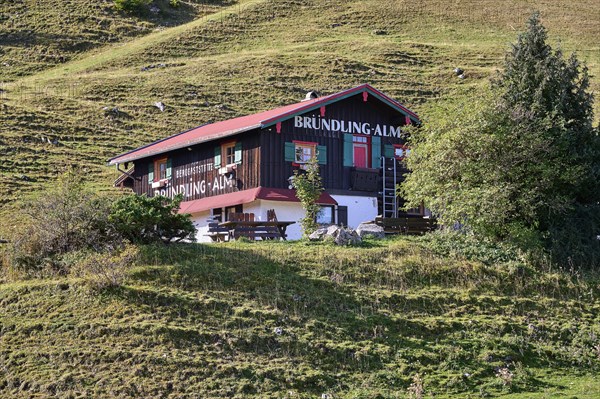 Bruendling-Alm