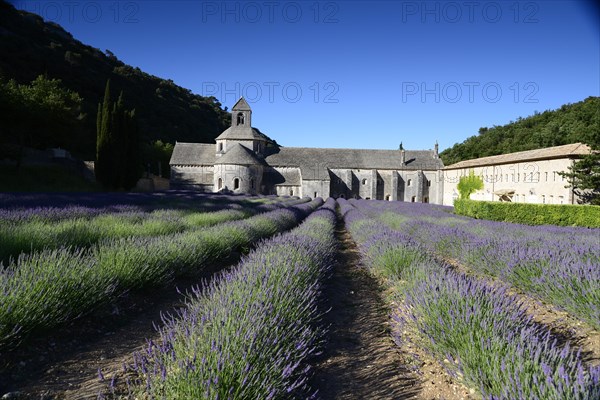 Cistercian Abbey Abbaye Notre-Dame de Senanque