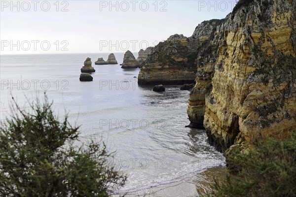 Rocky coast