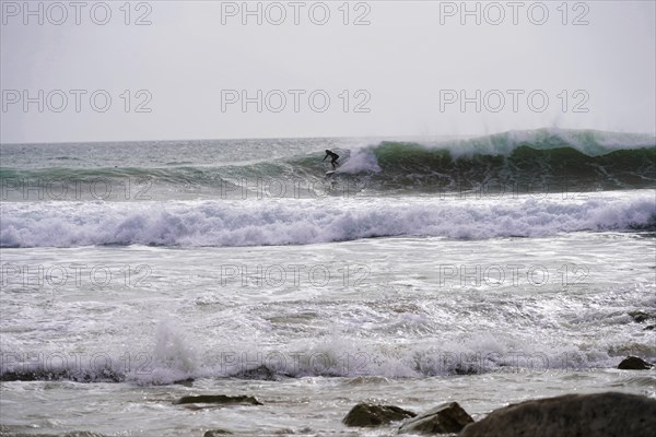 Surfers