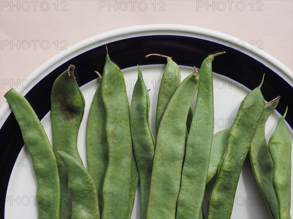 Mangetout pea legumes vegetables