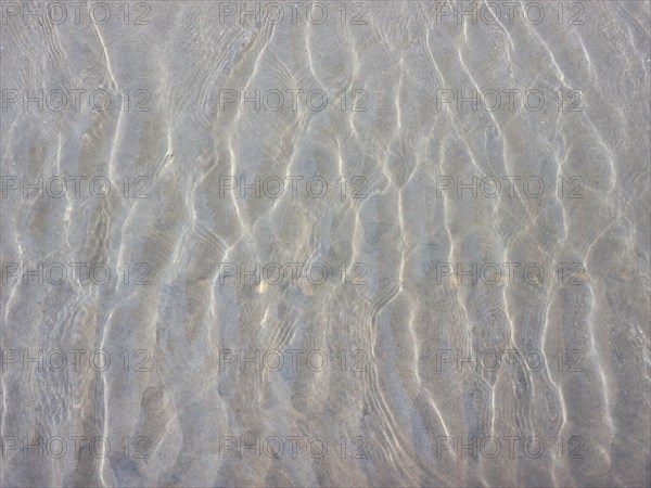 Beach sand background