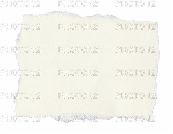 Blank tag label parchment isolated over white