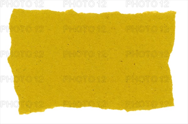 Blank paper parchment label isolated over white