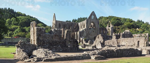 Tintern Abbey