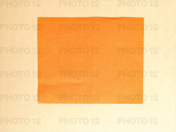 Blank orange tag label