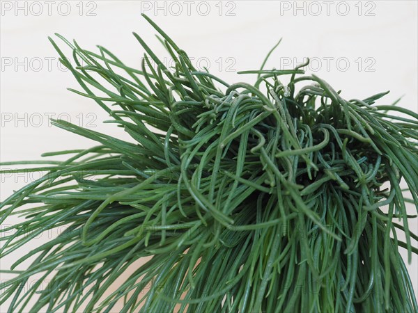 Agretti