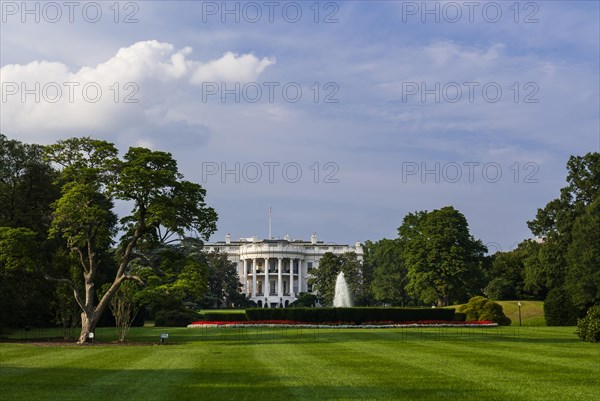 The white house