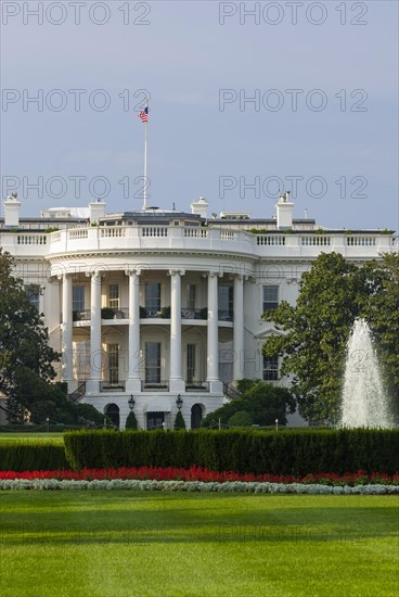 The white house