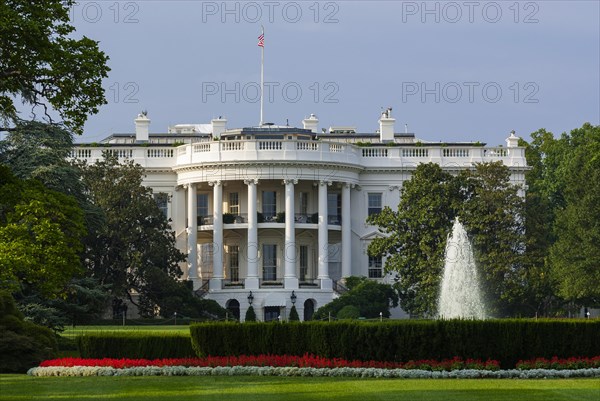 The white house