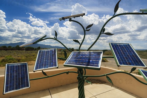 Tree as solar plant