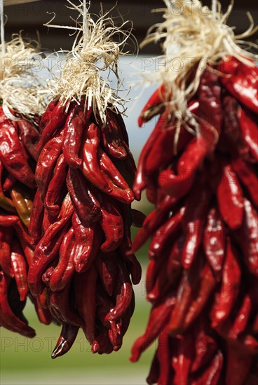 Chilli peppers at a market stall