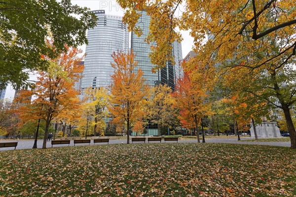 City in Autumn