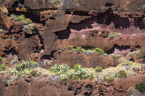 Weathered lava rocks on the cliffs near Paul do Mar