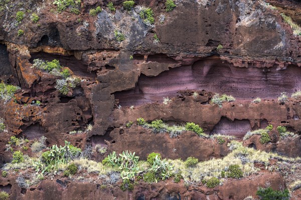 Weathered lava rocks on the cliffs near Paul do Mar