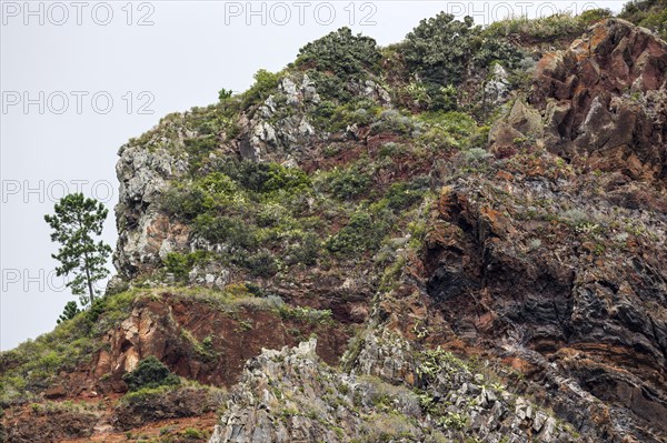 Weathered lava rocks on the cliffs