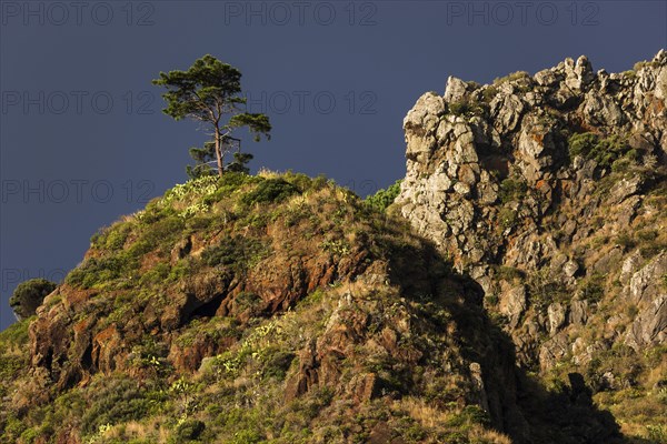 Weathered lava rocks on the cliffs