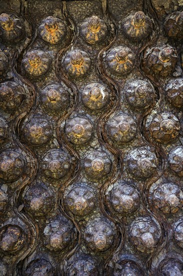 Rusted bolts on a disused factory site