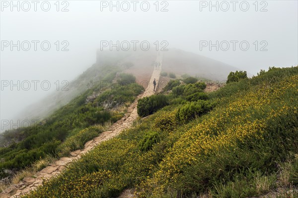 Hikers on the PR1 Vereda do Areeiro hiking trail in the fog