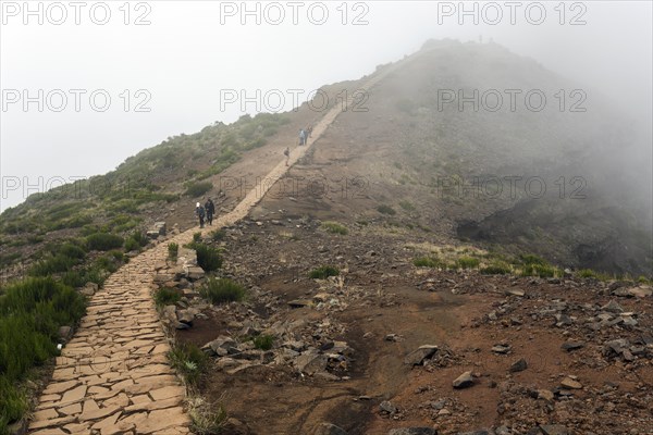 Hikers on the PR1 Vereda do Areeiro hiking trail in the fog