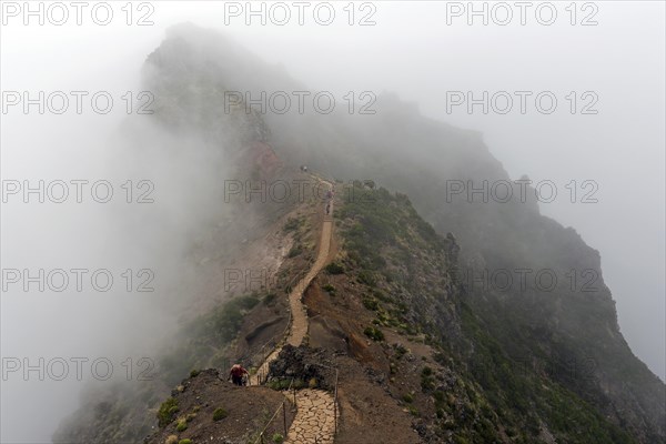 Hikers on the PR1 Vereda do Areeiro hiking trail in the fog