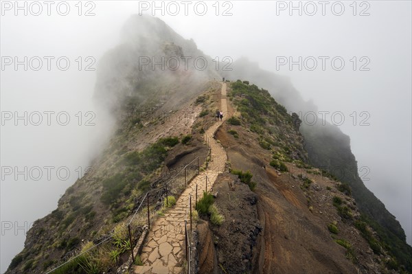 Hikers on the PR1 Vereda do Areeiro hiking trail in the fog