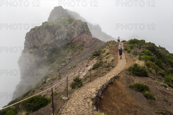 Hikers on the PR1 Vereda do Areeiro hiking trail in the fog