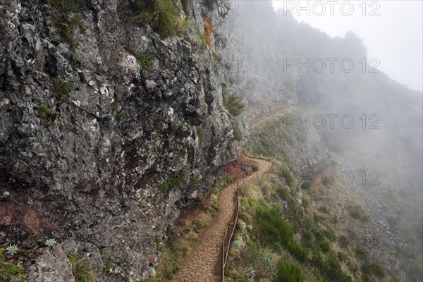 Hikers on the PR1 Vereda do Areeiro hiking trail in the fog