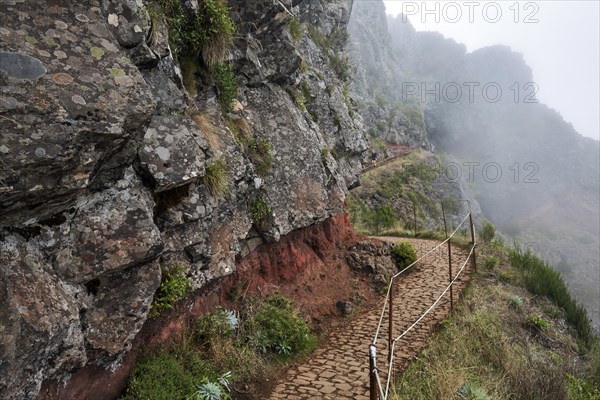 Hikers on the PR1 Vereda do Areeiro hiking trail in the fog