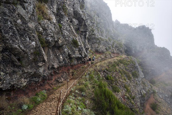 Hikers on the PR1 Vereda do Areeiro hiking trail in the fog