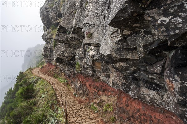 Hiking trail PR1 Vereda do Areeiro in the fog