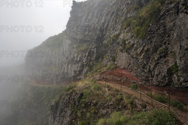 Hikers on the PR1 Vereda do Areeiro hiking trail in the fog