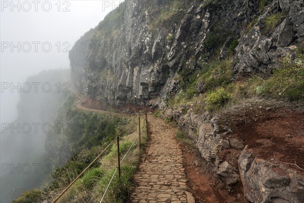 Hiking trail PR1 Vereda do Areeiro in the fog