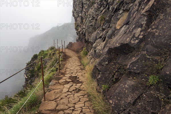 Hiking trail PR1 Vereda do Areeiro in the fog