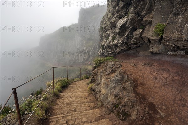 Hikers on the PR1 Vereda do Areeiro hiking trail in the fog