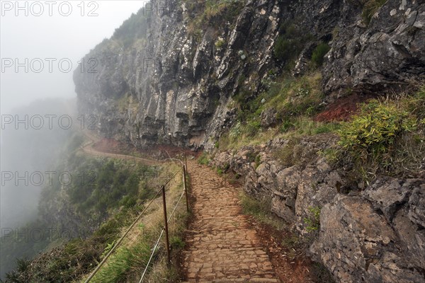 Hiking trail PR1 Vereda do Areeiro in the fog