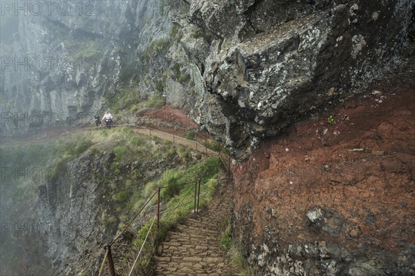 Hikers on the PR1 Vereda do Areeiro hiking trail in the fog