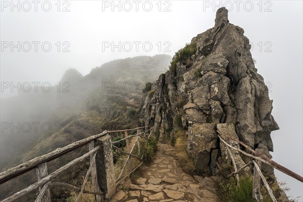 Hiking trail PR1 Vereda do Areeiro in the fog